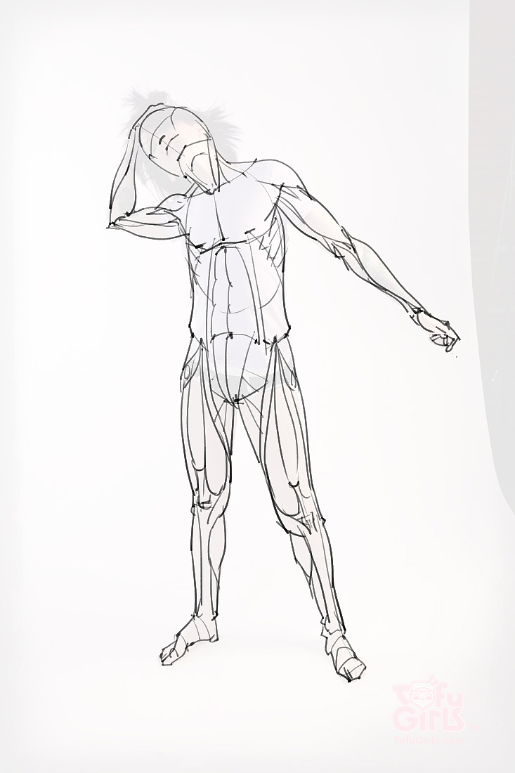 「素材」分享一波绘画专用人体解剖素材 part 09