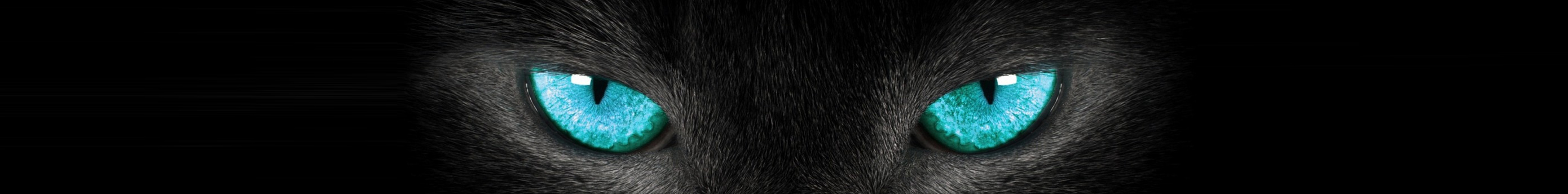 Snuny的個人主頁（封面預(yù)覽） - 主頁封面設(shè)置 - 站酷設(shè)計師Snuny原創(chuàng)素材 - 站酷ZCOOL