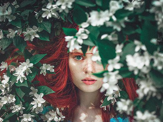 只需要“森系”这一招，让你朋友圈的照片变文艺