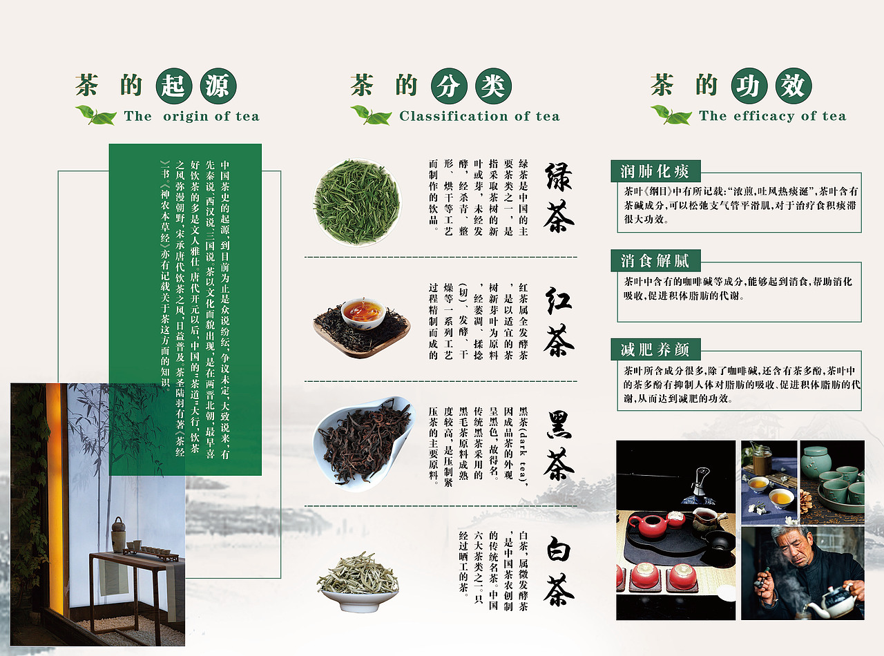 茶叶三折页宣传册