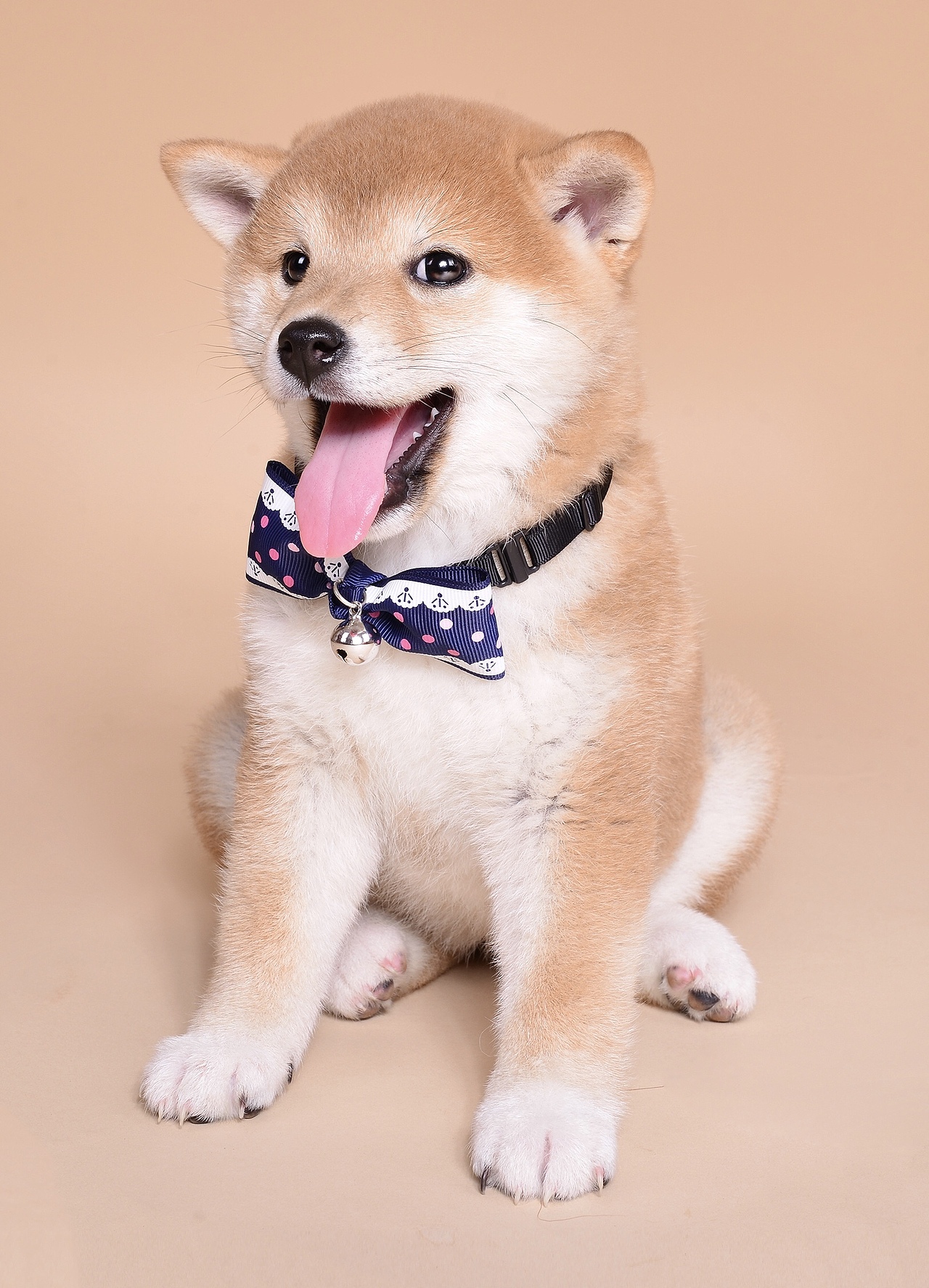 MILA&呜嘟嘟-父女