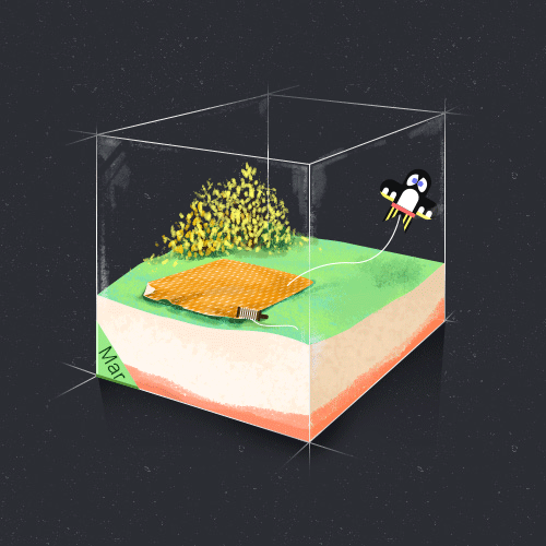 PEACE & JOY（图ZNzAwNzY3NTI=） - 动效设计 - 站酷设计师fannienina原创素材 - 站酷ZCOOL