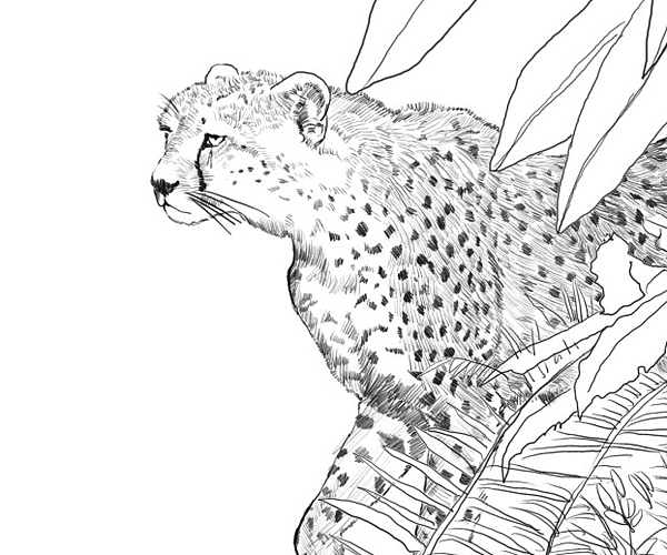 黑贝壳镜头筒平面广告（图ZNDYyNjM4MA==） - 宣传物料 - 站酷设计师创生品牌设计原创素材 - 站酷ZCOOL