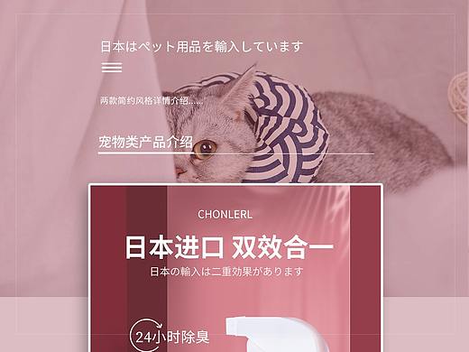 宠物详情
