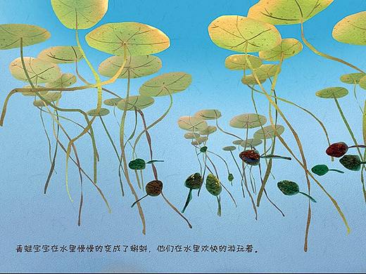 小蝌蚪找妈妈（绘本）