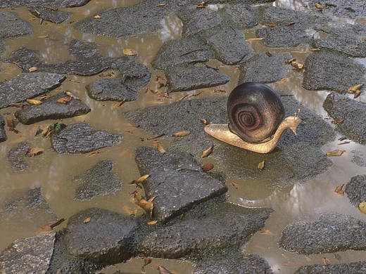 三維渲染練習(xí)（個(gè)人主頁(yè)-ZNTM1ODAyMjQ=） - 場(chǎng)景 - 站酷設(shè)計(jì)師暉DESIGN原創(chuàng)素材 - 站酷ZCOOL