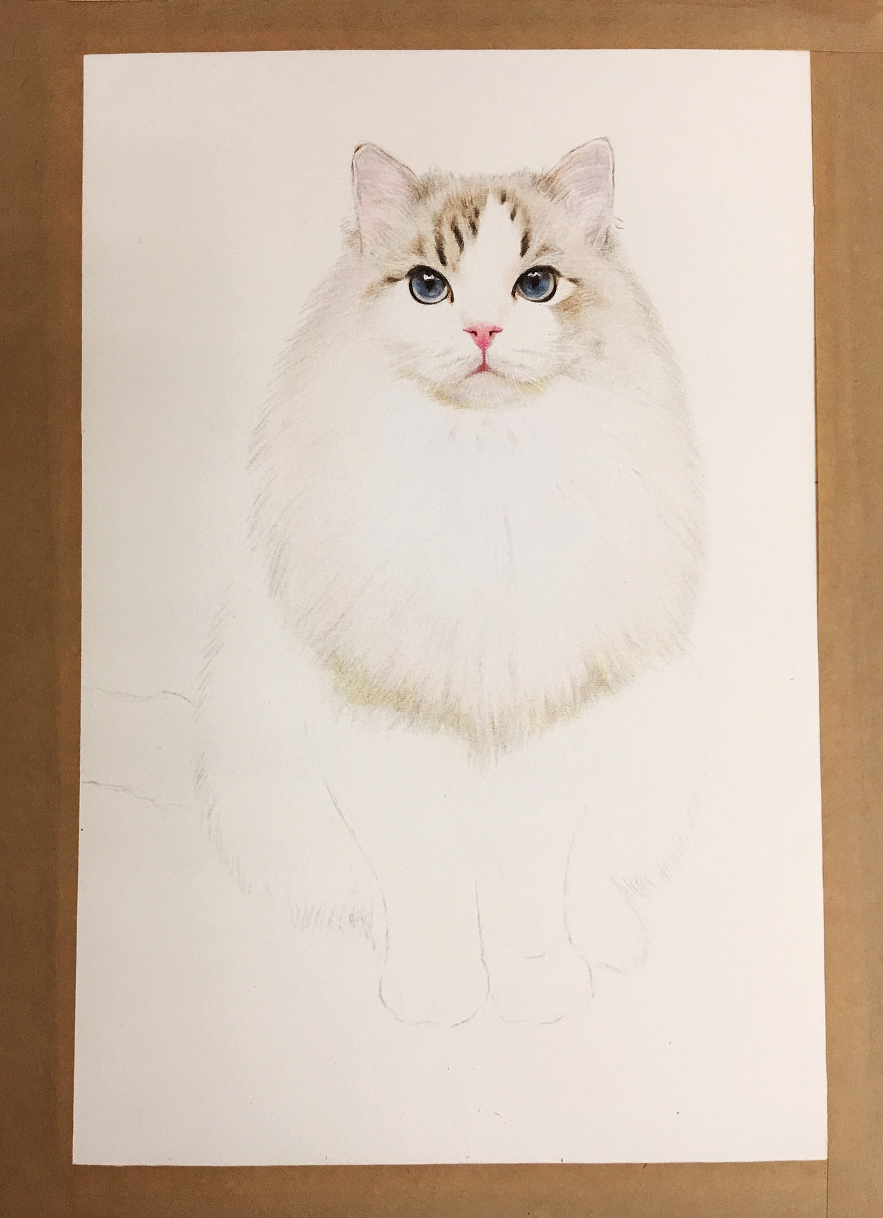 彩铅布偶猫（图ZODU2Njc4ODg=） - 绘画 - 站酷设计师一大波喵子原创素材 - 站酷ZCOOL