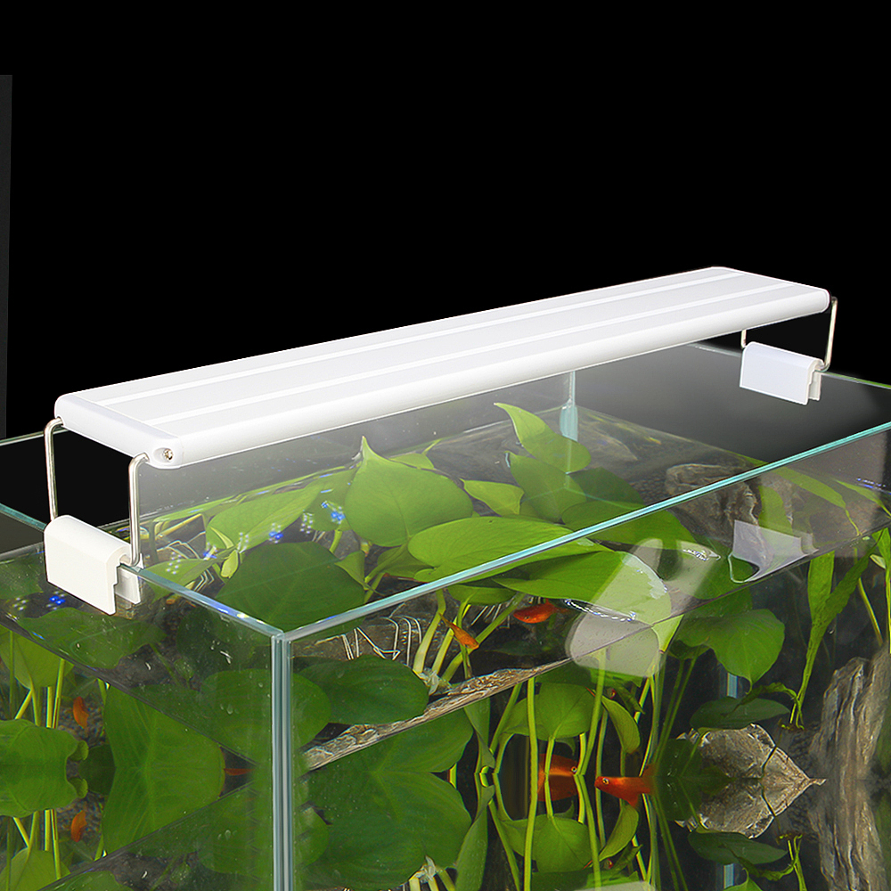 水族鱼缸夹灯作品（图ZMjA2MTE2Mzk2） - 产品摄影 - 站酷设计师邓欣荣原创素材 - 站酷ZCOOL