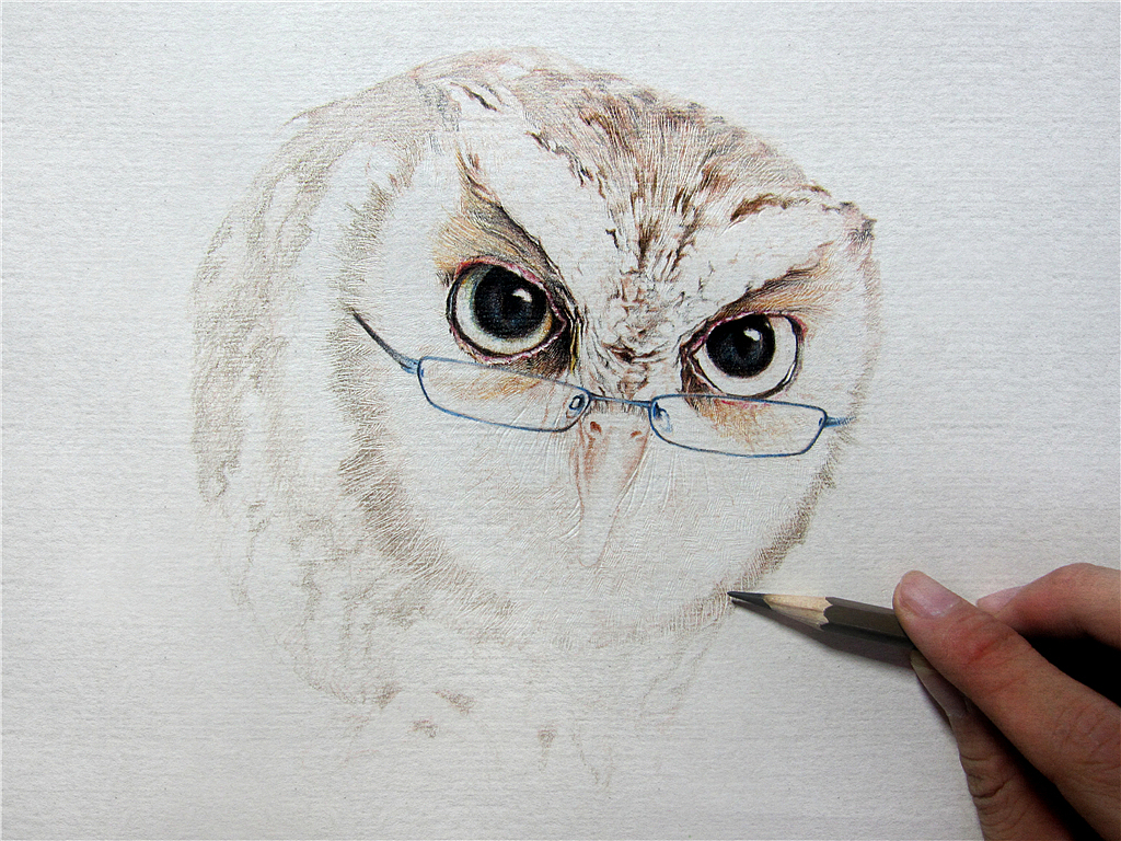 纸上彩铅-《福鸟花鸮》绘制过程（图ZMjcxNzI5MzY=） - 绘画 - 站酷设计师超超的青葱原创素材 - 站酷ZCOOL