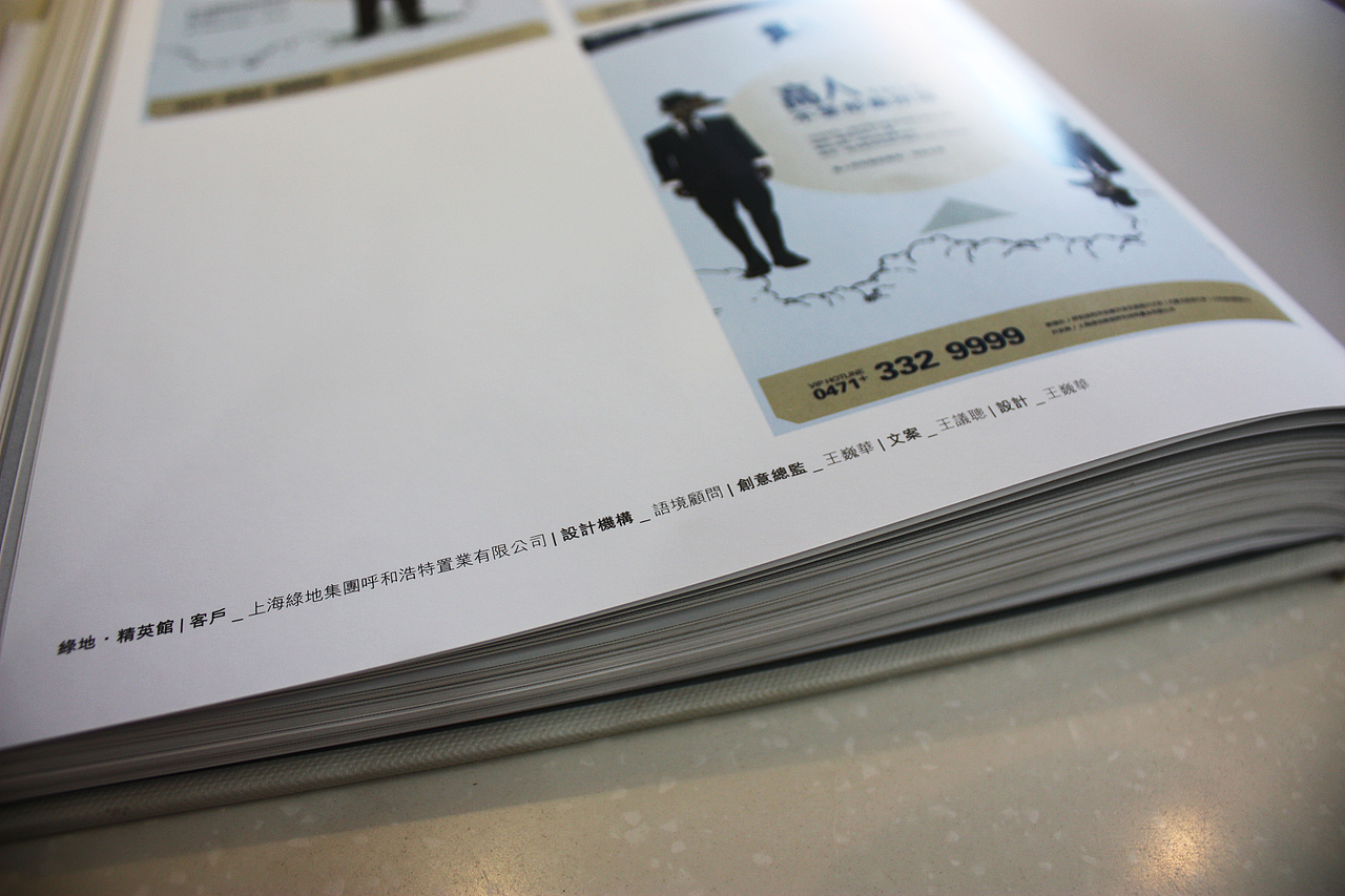 我发表在2013中国房地产年鉴的作品（图ZMTE2MzU2MzY=） - 其他平面 - 站酷设计师王巍华原创素材 - 站酷ZCOOL