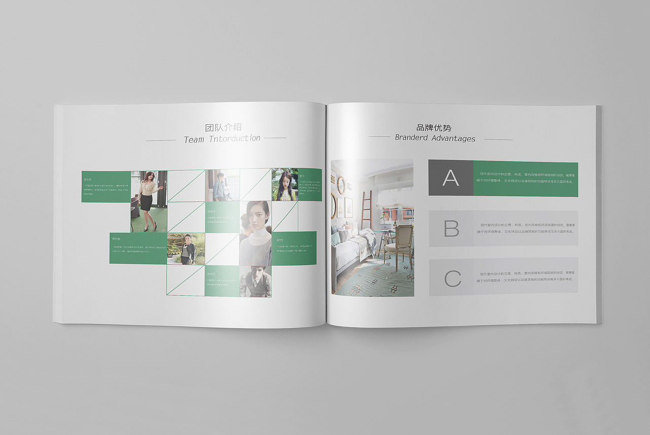 VI 手册（图ZNjczNjUxNDQ=） - 品牌 - 站酷设计师凰玥离原创素材 - 站酷ZCOOL