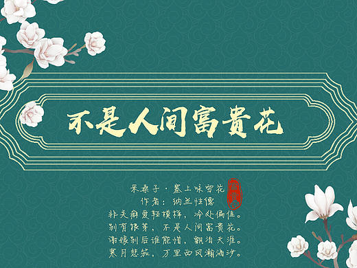 不是人间富贵花