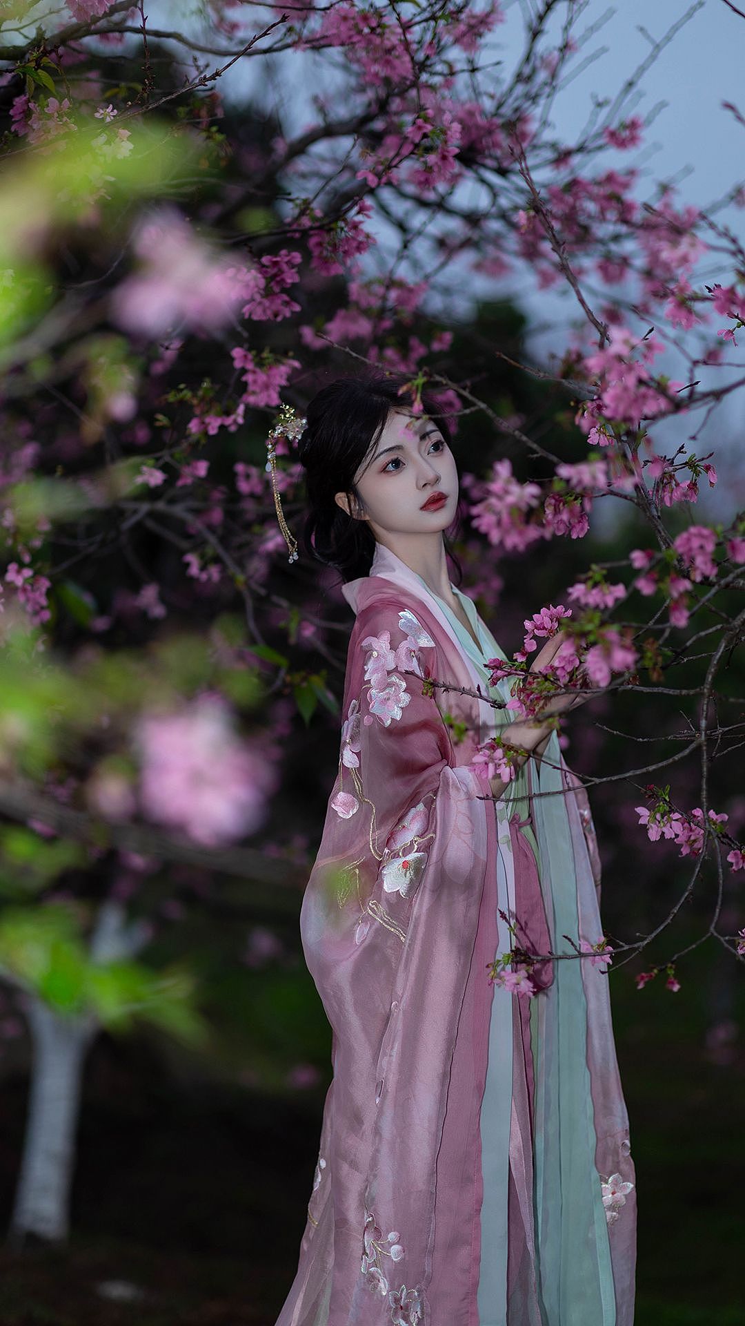 林花谢了春红,太匆匆