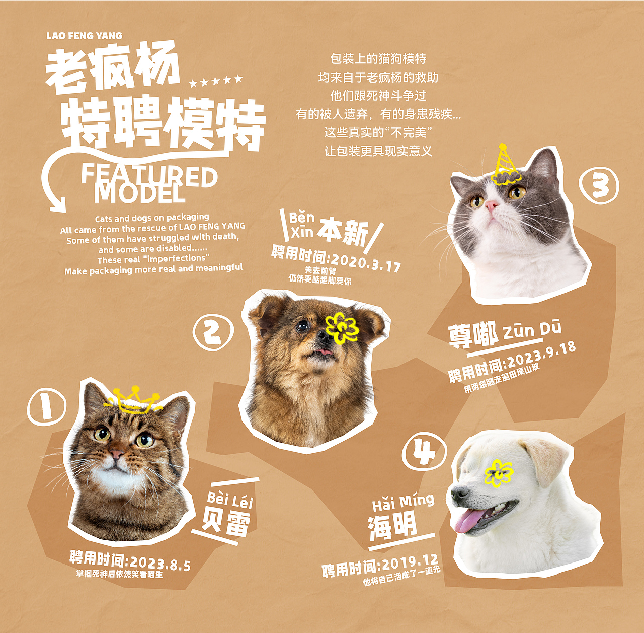 《老疯杨》宠物品牌全案设计——给它一生欢喜（图ZMzY0MzA2MTE2） - 品牌 - 站酷设计师你好大海品牌设计原创素材 - 站酷ZCOOL