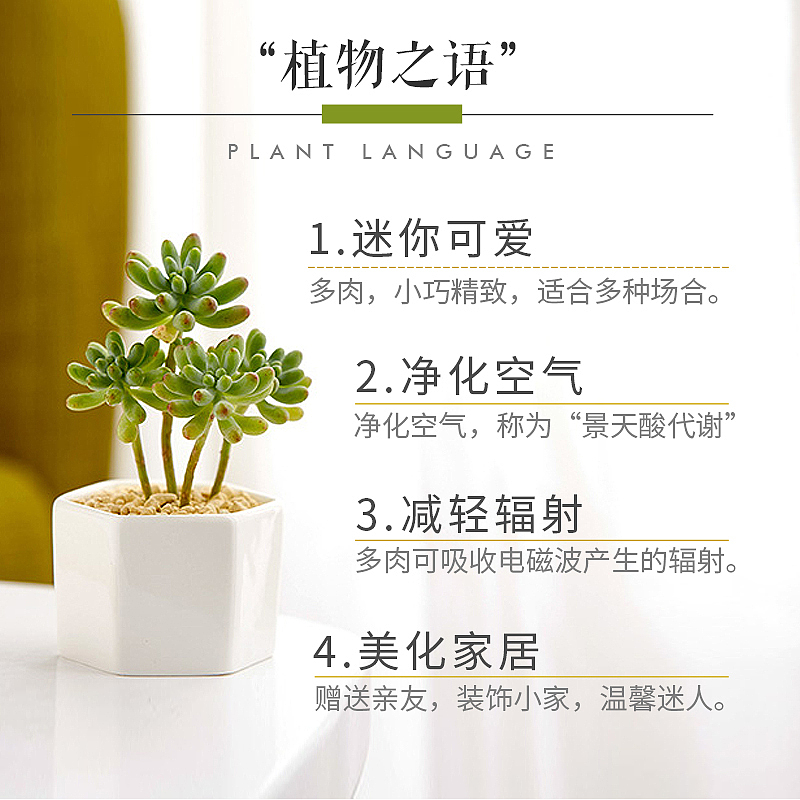 主图（图ZMjEyNTM3OTEy） - 电商 - 站酷设计师Miss_甜甜原创素材 - 站酷ZCOOL