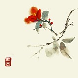 时光云廊的头像