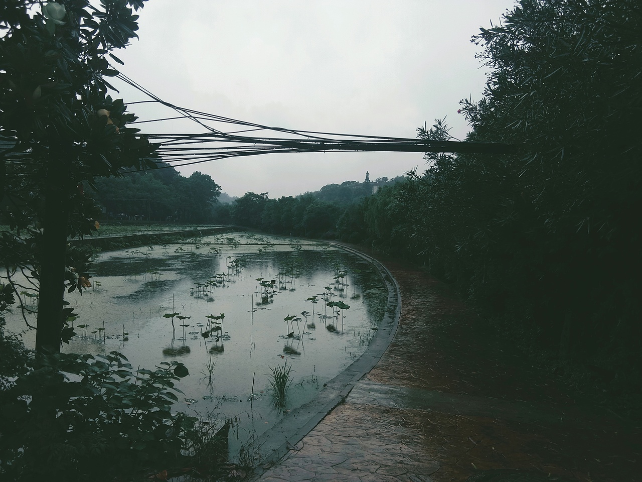 摄影（图ZMTYyMjc0MDI0） - 风光摄影 - 站酷设计师鱼肚子里的小孩原创素材 - 站酷ZCOOL