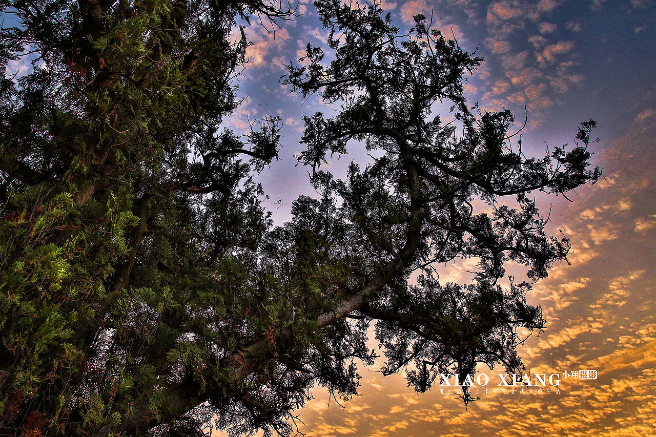 蔡节红叶（图ZOTM5OTM5Njg=） - 风光摄影 - 站酷设计师lixiangpeng1122原创素材 - 站酷ZCOOL