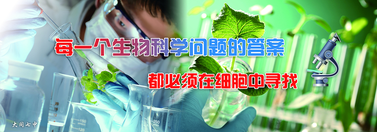 学校展板（图ZNDk2NjU4MDA=） - 海报 - 站酷设计师天晴尘封原创素材 - 站酷ZCOOL