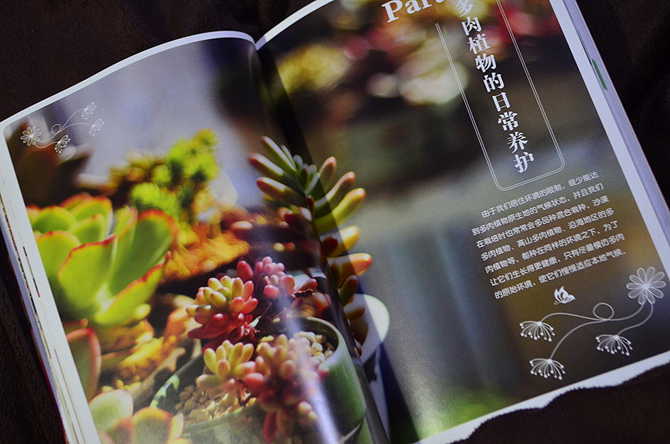 新做的书，和二木一起玩多肉（图ZMTAyOTA3NDQ=） - 书籍/画册 - 站酷设计师丫丫Design原创素材 - 站酷ZCOOL