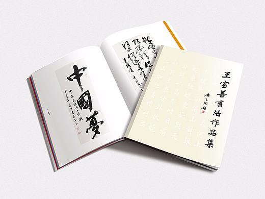 王富善书法画册效果图