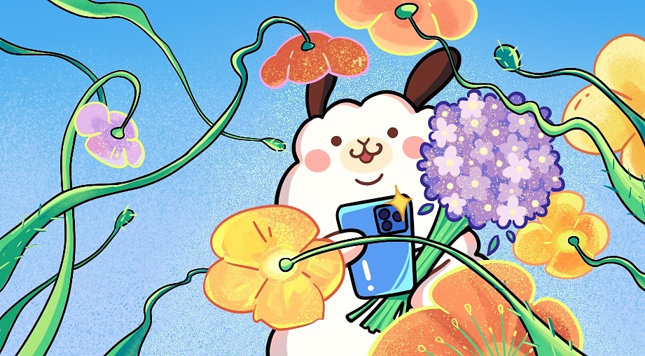 一些Q弹的羊肉团子们 :)