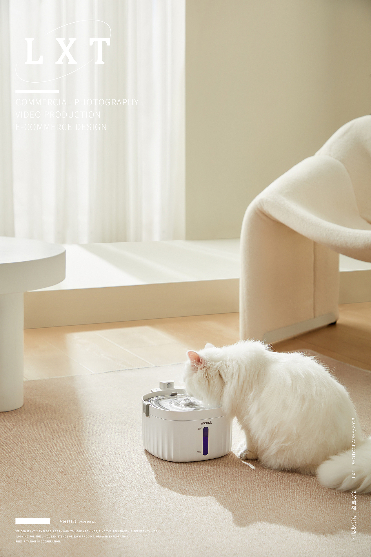 觅凹猫咪饮水机拍摄