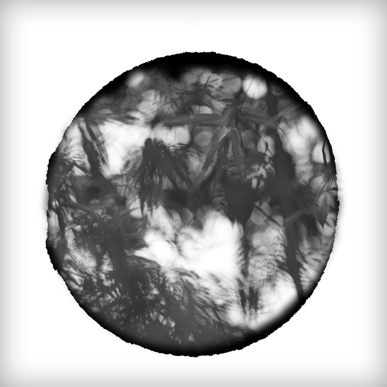 原形-诗（图ZMTg1NjYyMzc2） - 人文/纪实摄影 - 站酷设计师秦弓汉月01原创素材 - 站酷ZCOOL