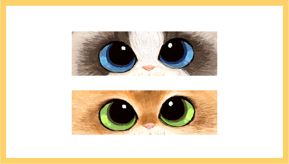 插画·Sun Island猫舍