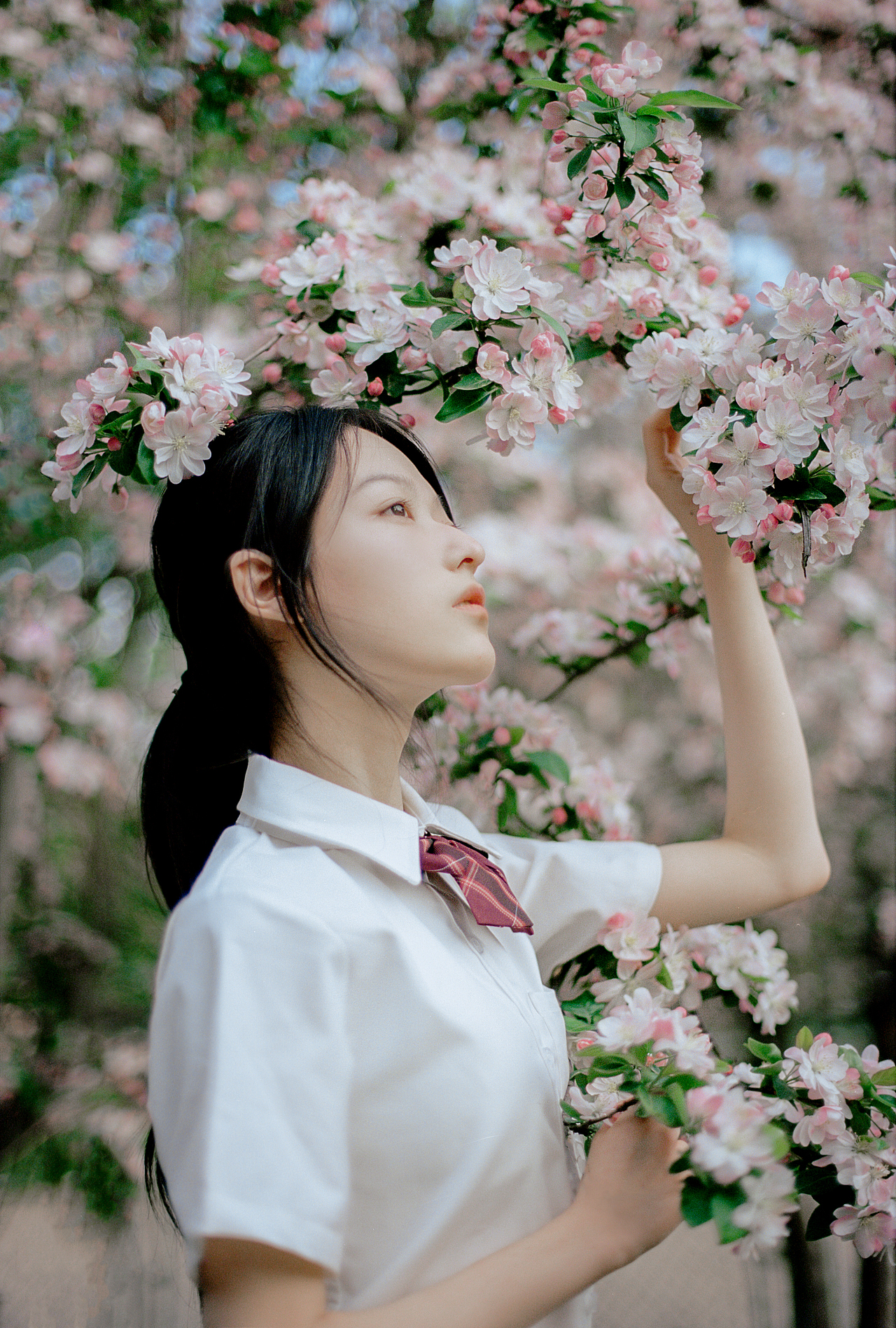花棠傍晚（图ZMjcxOTc0NDUy） - 人像摄影 - 站酷设计师南瓜星球原创素材 - 站酷ZCOOL