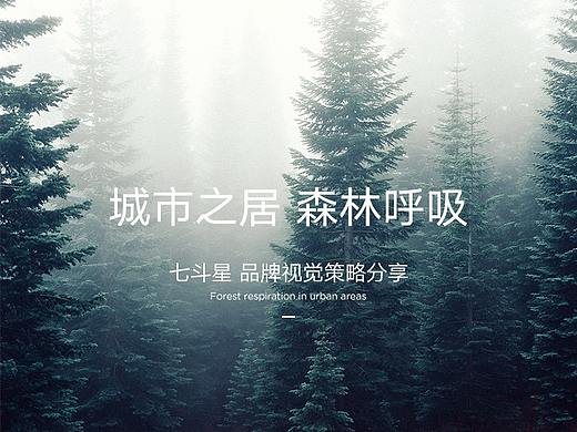 实木家具品牌 全案视觉策略分享