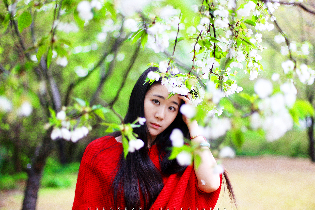 董小姐的红色毛衣