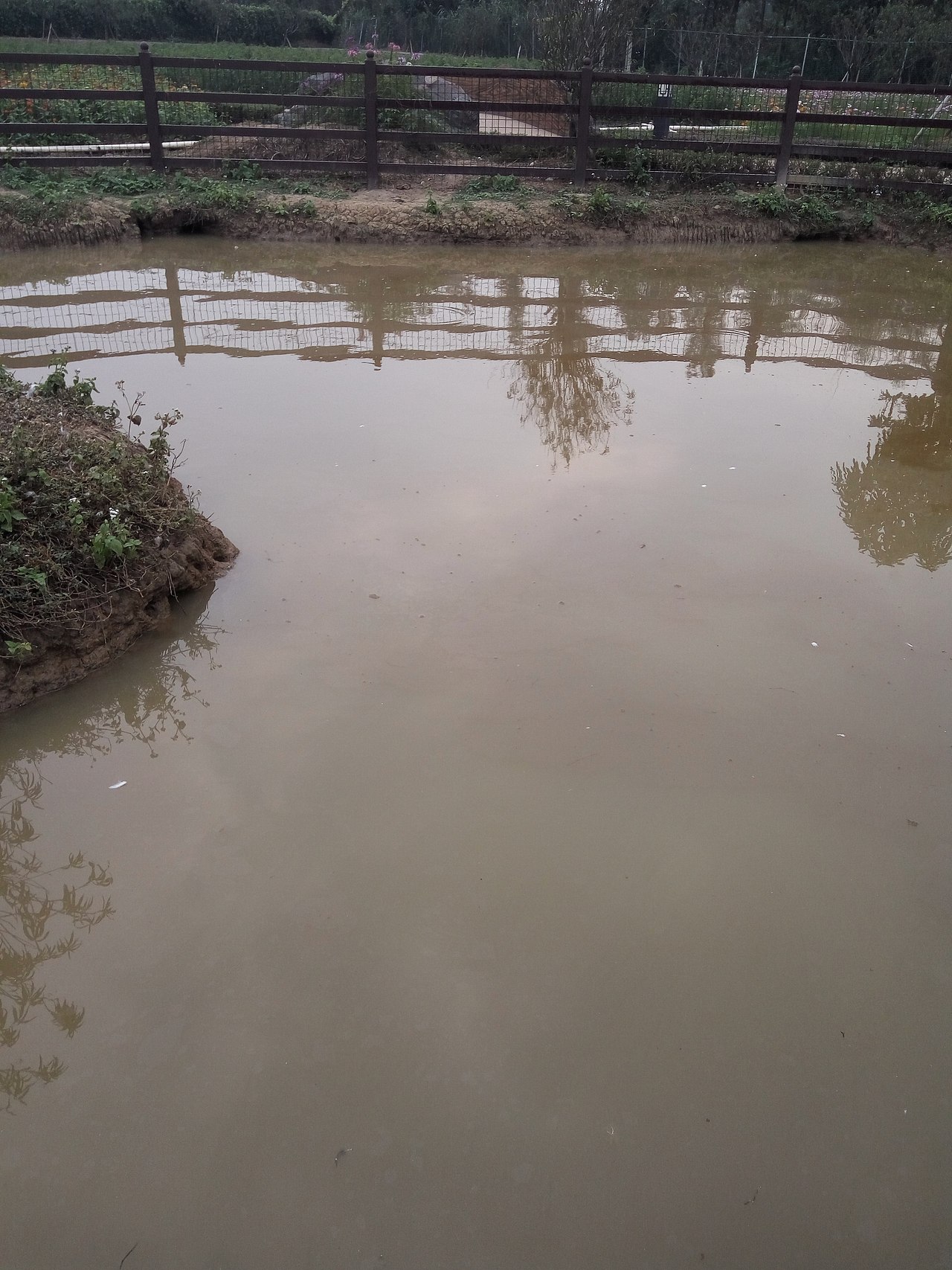 十里莲江（图ZMTM2MzM1MTAw） - 产品摄影 - 站酷设计师嘟嘟2019原创素材 - 站酷ZCOOL