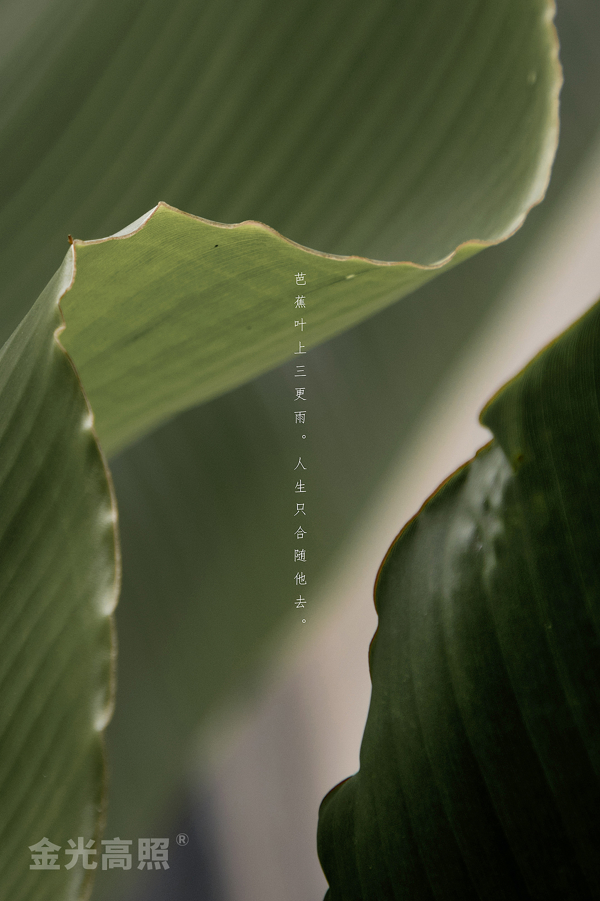 寻找真实的自己-四月生活和商拍记录（图ZMjA1NTc3NTA4） - 产品摄影 - 站酷设计师金光高照商业摄影原创素材 - 站酷ZCOOL