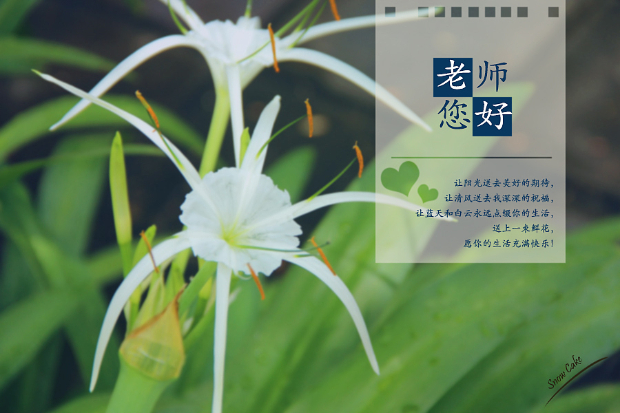 教师节的礼物（图ZMTE0MjM0MzI=） - 海报 - 站酷设计师X号弹头原创素材 - 站酷ZCOOL