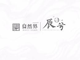 提报