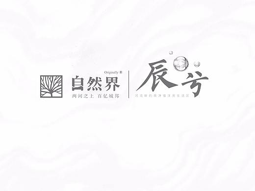 地产项目提案视觉