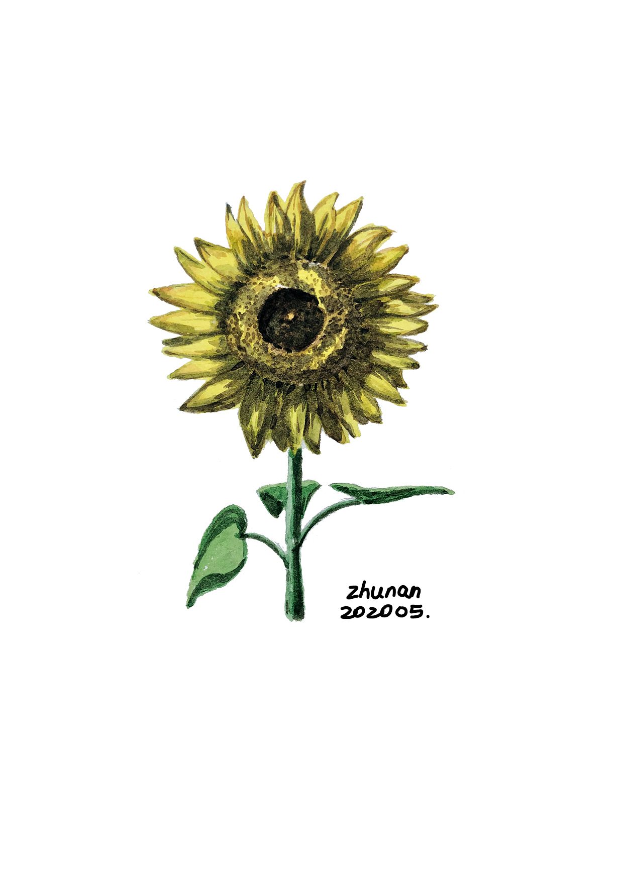 水彩本上的小画二