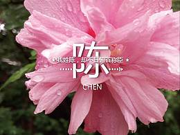 logo设计