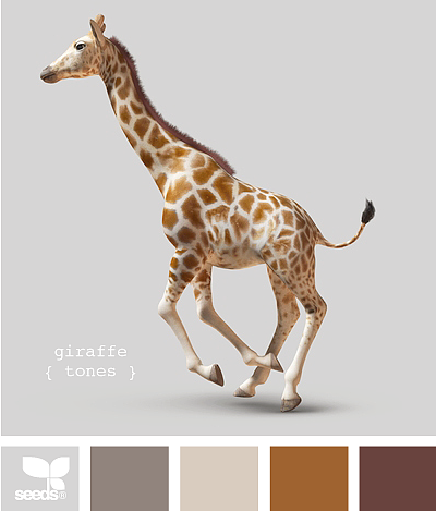 网页实物配色——灰白系（图ZMTQ5MzU5OTk2） - 其他网页 - 站酷设计师CoolerUX原创素材 - 站酷ZCOOL