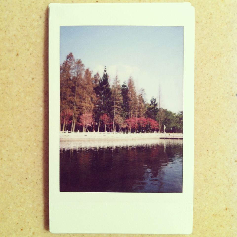 **森林公园**（图ZMTM4NTQxNDA=） - 风光摄影 - 站酷设计师3thslive原创素材 - 站酷ZCOOL