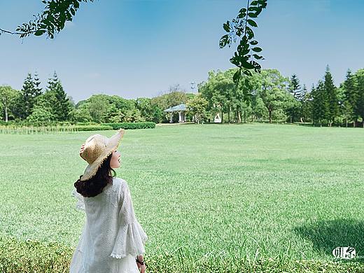 summer story in  refreshing