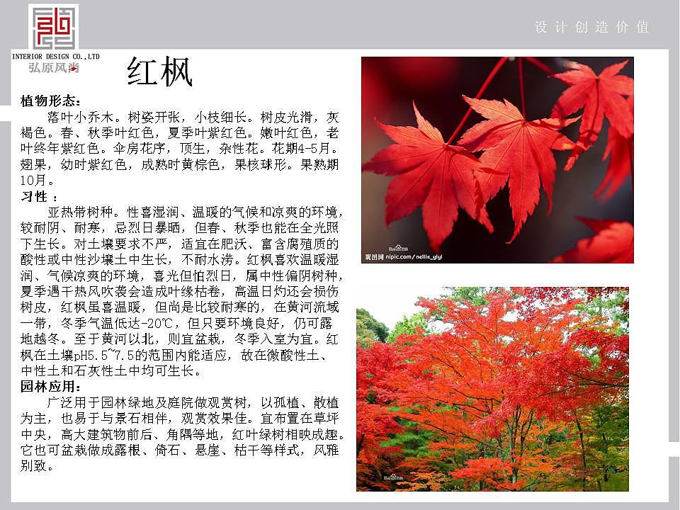 一个小院子的前期