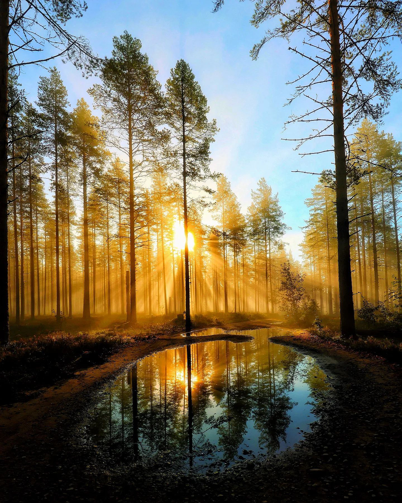 一夜知秋,一夜寒凉,一帘风劲,一瞬草黄。