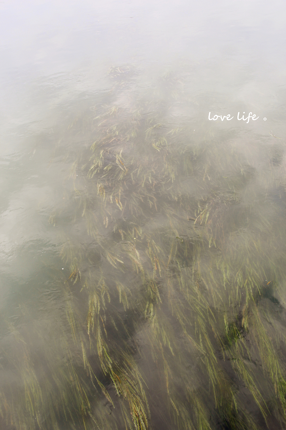 照片是记录一段时间的心情。（图ZMjE5MzkyMzI=） - 风光摄影 - 站酷设计师瑶菇凉丶原创素材 - 站酷ZCOOL