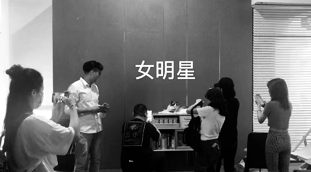 美食摄影|红嘴猫x米饭馆（图ZMjkzOTcyMjQ0） - 美食摄影 - 站酷设计师姚折腾原创素材 - 站酷ZCOOL