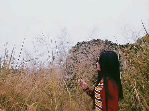 江西九江（个人主页-ZNTI5MjM0MzY=） - 像素画 - 站酷设计师南向晚原创素材 - 站酷ZCOOL