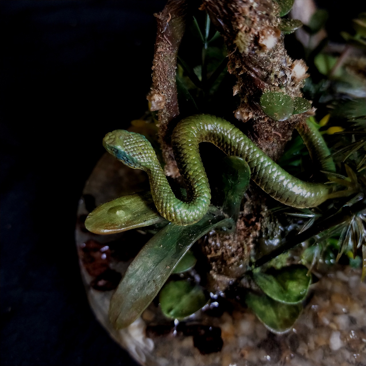 涂装作品丨森森 伶盗龙捕食