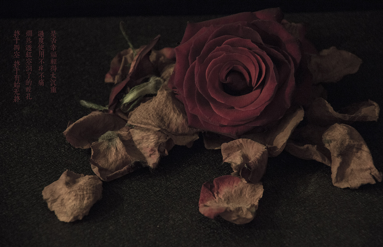 陈奕迅【红玫瑰】