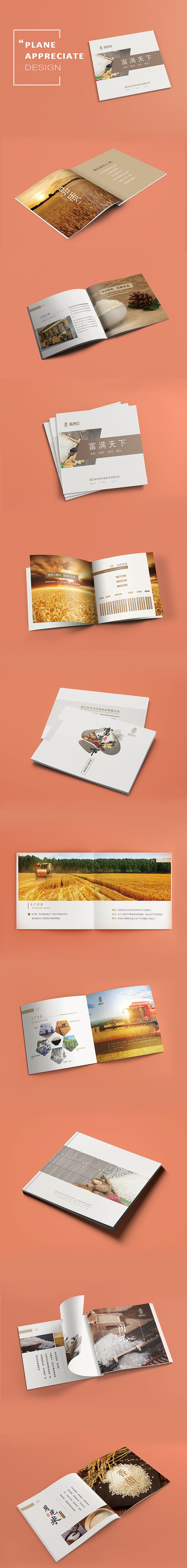 富满仓品牌 画册&折页